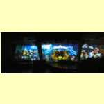 entertain18206.jpg